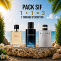 Terre d’hermes 100ml + Sauvage 100ml + channel allure homme sport 100ml Gratuite