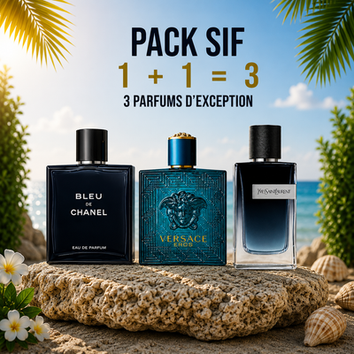 Blue de chanel 100ml + Versace eros 100ml + Ysl Y edp 100ml Gratuite