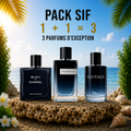 Blue de chanel 100ml + Ysl Y 100ml + Sauvage 100ml Gratuite