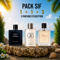 Blue de chanel edp 100ml + acqua di giò 100ml + Terre d’hermes 100ml Gratuite